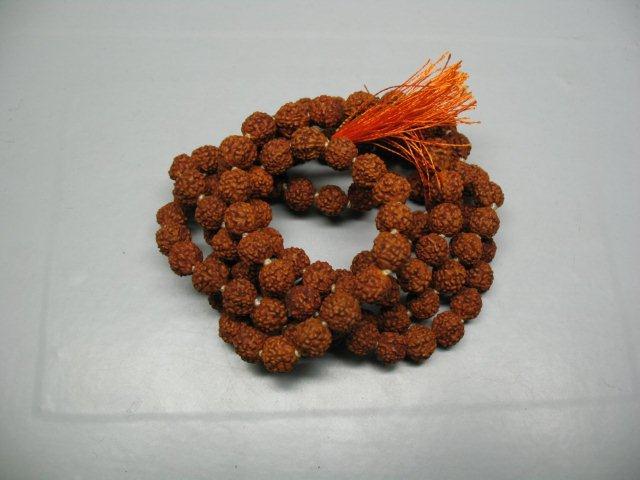 rudraksh-01