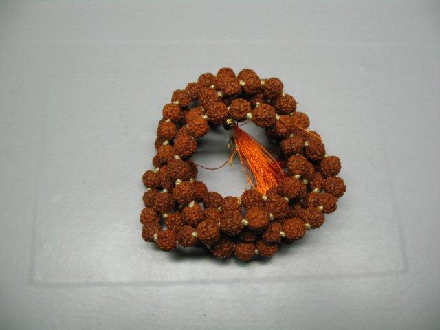 rudraksh-01