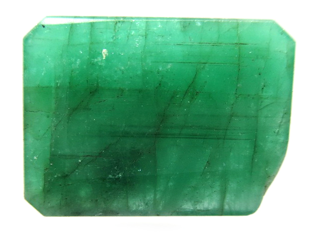 rudraksh-01