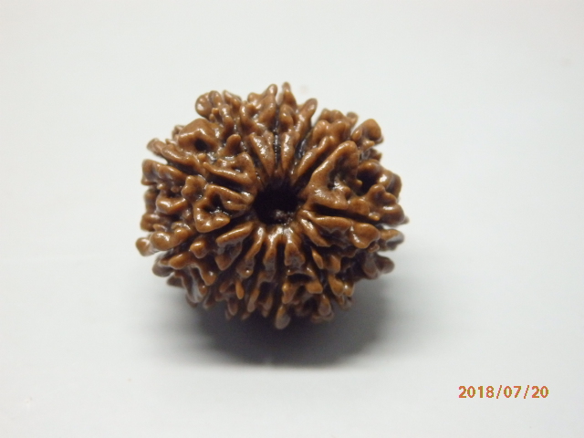 rudraksh-01