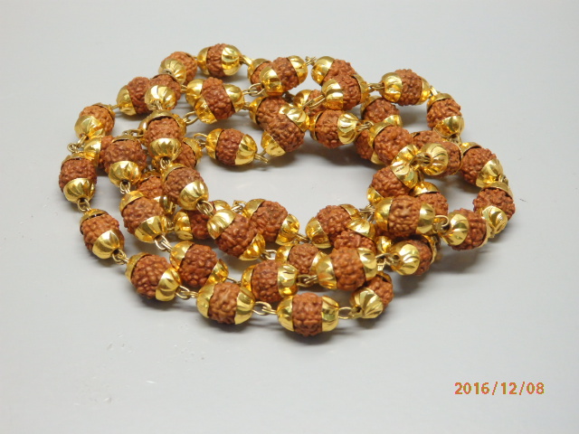 rudraksh-01
